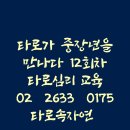 숙성되는 타로상담 맛 이미지