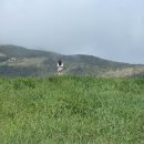 동양목장 이미지