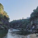 양벌약국 이미지