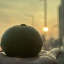 노원-공릉-3277 이미지