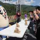 횡성더덕농가