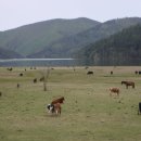 운남목장 이미지