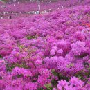 검단지구대 이미지