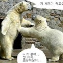 냠냠