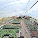 마산리목장 이미지