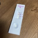 율전탑의원 | 코로나 자가키트 코는 음성인데 목은 양성 ?!! (feat. 자가키트 양성인데 PCR 음성 / 자가키트 희미한...