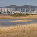 하단동179 이미지