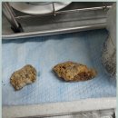 번영로550번길 | 군포하수구변기막힘 갑작스러운 문제도 당황 없이 해결한 후기