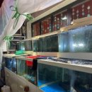 적성회맛집 이미지