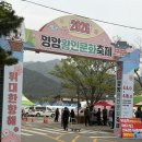 홍지윤 | [전남/영암]왕인문화축제 다녀온후기!(홍지윤)