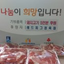 레드피그
