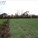 대정읍-7 이미지