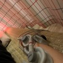 강상욱한의원 이미지