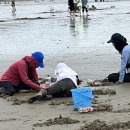 7 월 28 일 화요일 출석뷰 (사진방) // 있는 그대로의 오늘이 주는 행복 "있는 그대로 받아들여라." 이미지