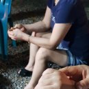 딸부자집 펜션 이미지