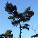 소나농장 이미지