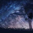 하늘토끼 이미지