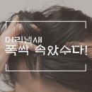 웰킨마포점