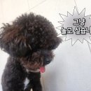 희망로H동물병원 이미지