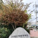 태백산맥길 네이버블로그