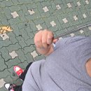 뚱띠토스트 | 장마철 근황