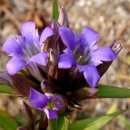 용담초교 이미지