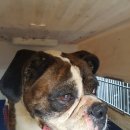 팽성남산4길 이미지