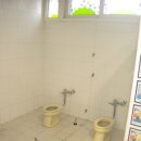 군자초교병설유치원 이미지