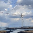 제주노을보리 이미지