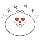 용인대화랑태권도 이미지
