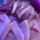 완도산회포장마차 이미지