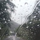 순천-14호 이미지