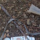 푸른식물병원 이미지