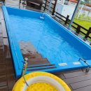 개이쁘개 이미지