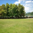 양보중학교 이미지