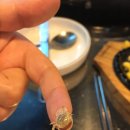 King조개 이미지