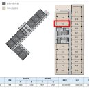 더리브디하우트 이미지