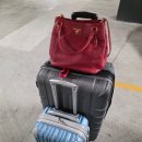와인디렉트 | 토론토 출발 인천 도착, 에어캐나다 비즈니스 클래스 탑승 후기