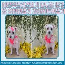 쉬리미용실