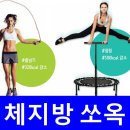 점핑하이임동점 네이버블로그
