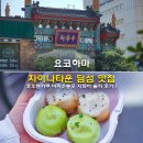 요코하마 차이나타운 딤섬 맛집 호우텐카쿠 야끼소룡포 지파이 솔직 후기