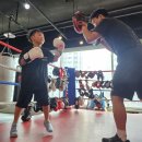 드래곤복싱클럽 백마점 이미지