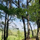 주전공원화장실 이미지