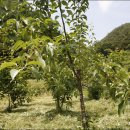 원산농장 이미지