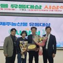 대정유통 이미지