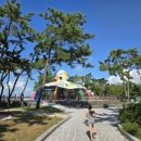 낙지공원 노을길야영장 무인카페 이미지