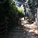 솔마루길 대공원산 이미지