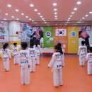 세움태권도 이미지