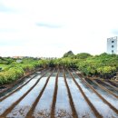 신북로2 이미지