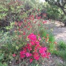 다이어트 기체조 이미지